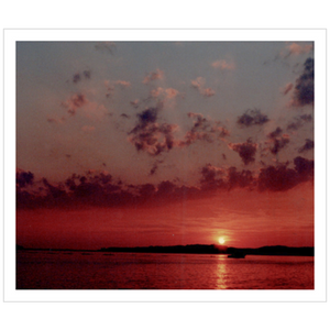 Wellfleet Harbor - Archival Canvas Paper