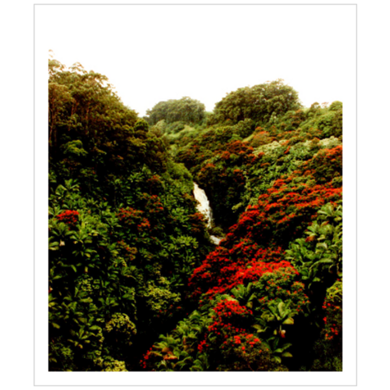 Maui Waterfalls III - Archival Canvas Paper