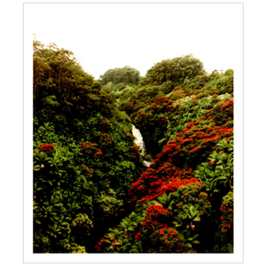 Maui Waterfalls III - Archival Canvas Paper