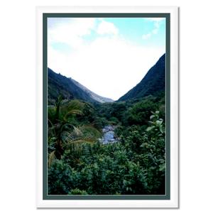 Maui Rainforest I - Framed - Metallic Paper