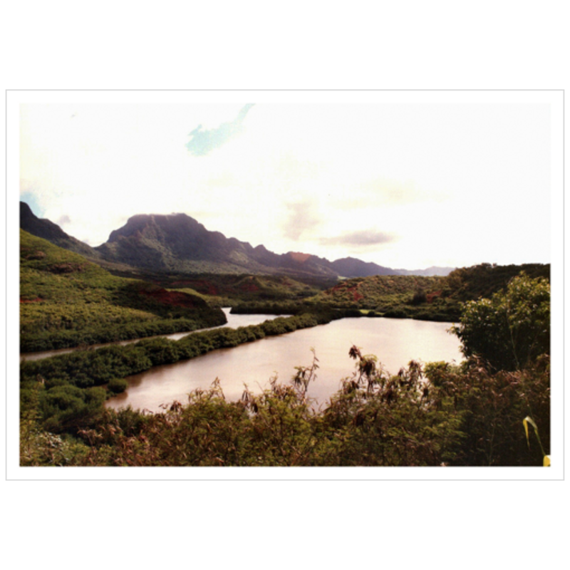 Allerton Garden II - Archival Canvas Paper