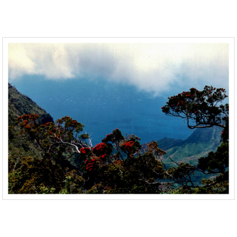 Hiking Waimea Canyon - Metallic Paper