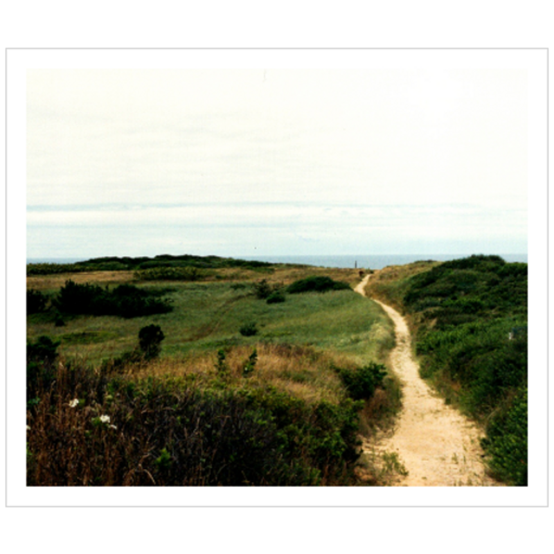 Wellfleet Seashore - Satin Luster Paper