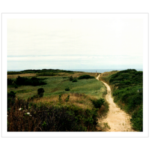 Wellfleet Seashore - Satin Luster Paper