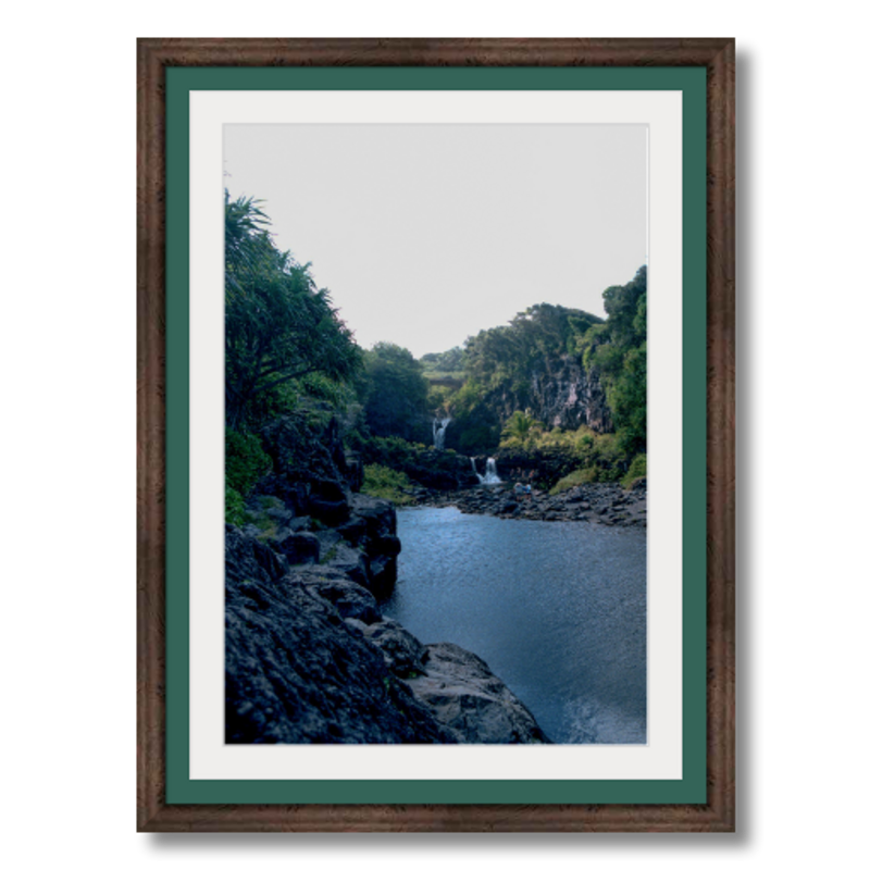 Maui Rainforest III - Framed - Archival Canvas Paper