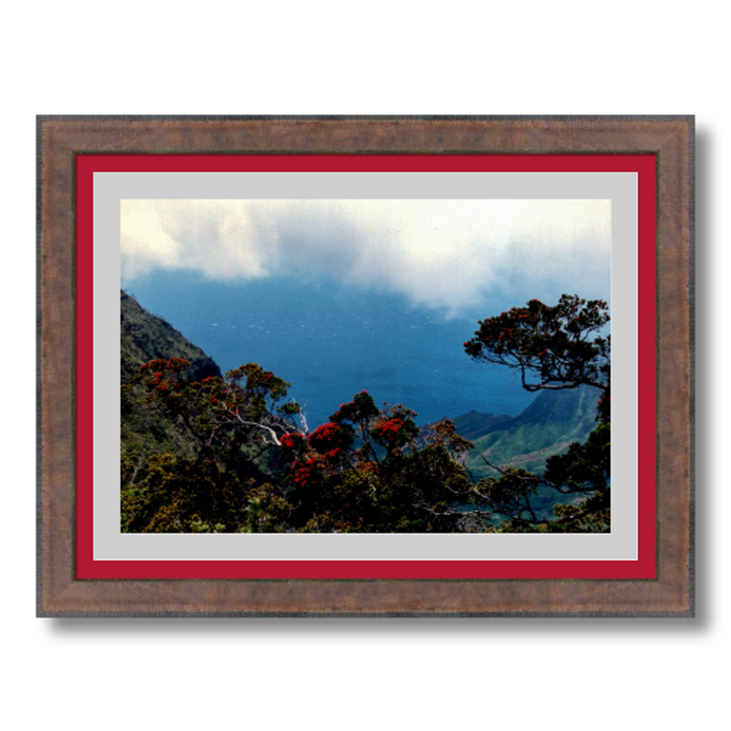 Hiking Waimea Canyon - Framed - Metallic Paper