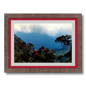 Hiking Waimea Canyon - Framed - Metallic Paper