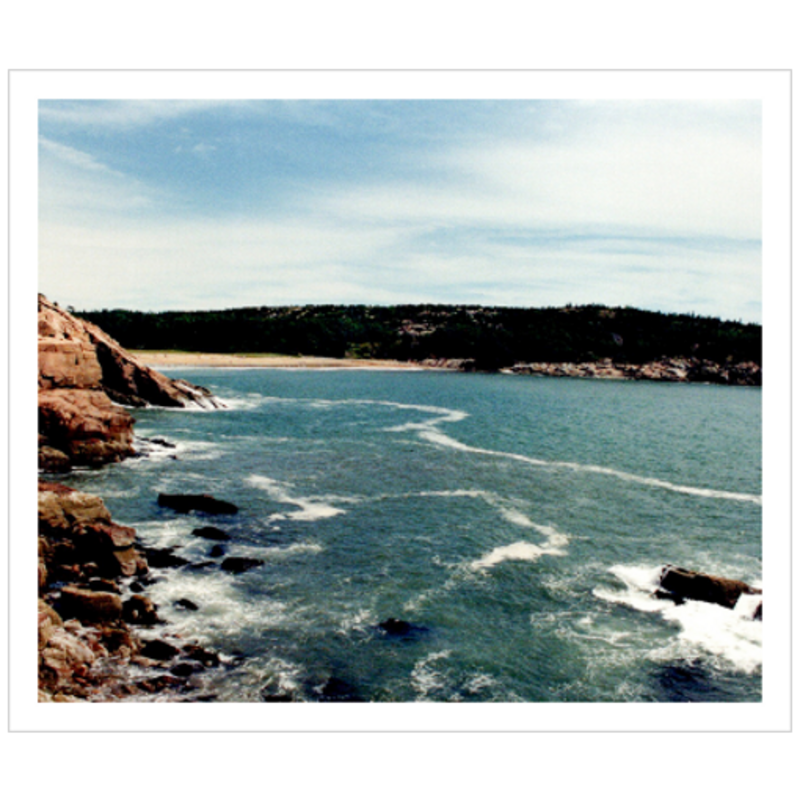 Walking Acadia II - Metallic Paper