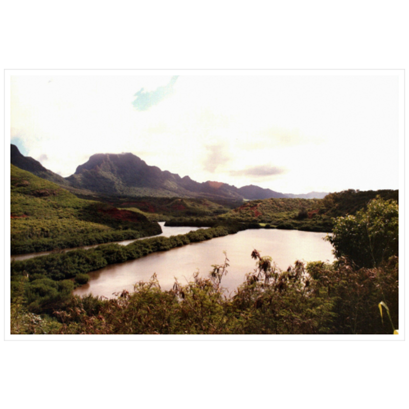 Allerton Garden II - Archival Canvas Paper