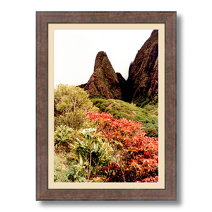 Iao Needle - Framed - Archival Canvas Paper