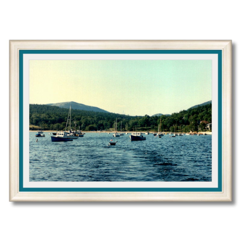 Sailing Seal Harbor - Framed - Premium Giclee Paper