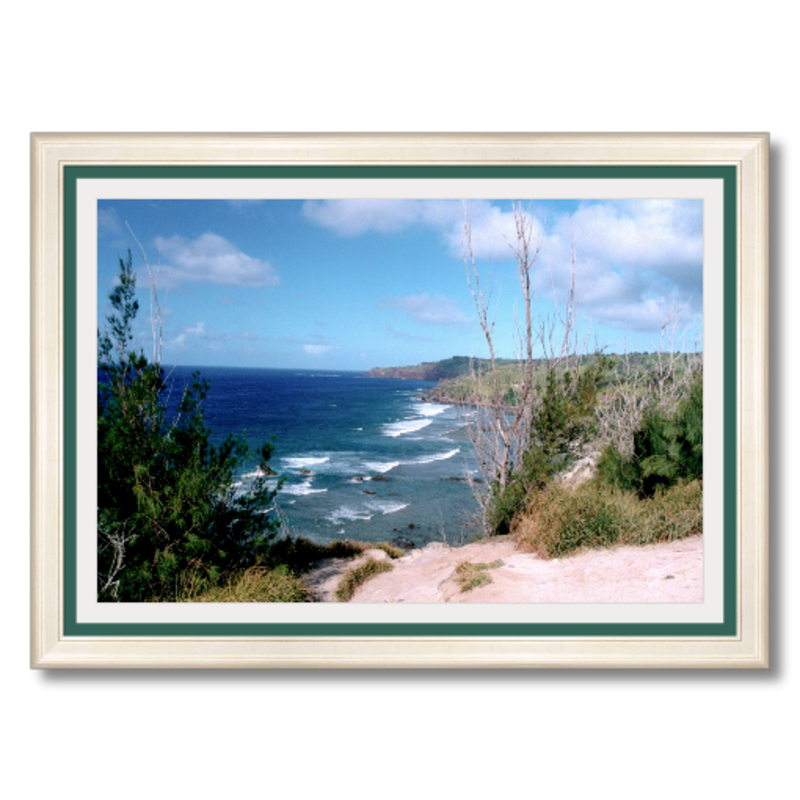 Maui Coast II - Framed - Archival Canvas Paper