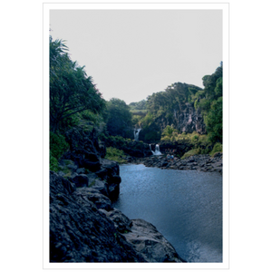 Maui Rainforest III - Metallic Paper