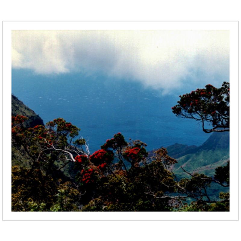 Hiking Waimea Canyon - Metallic Paper