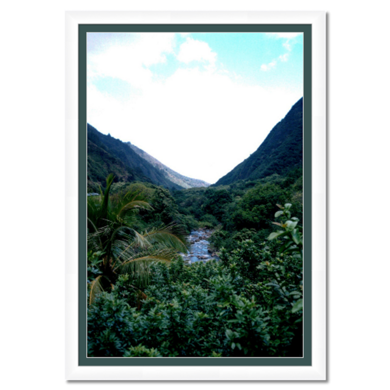 Maui Rainforest I - Framed - Hahnemühle Torchon Paper