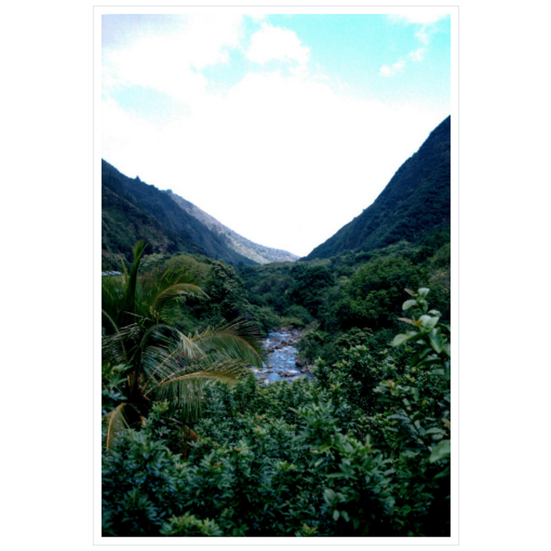 Maui Rainforest I - Metallic Paper