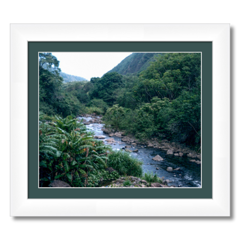 Maui Rainforest II - Framed - Hahnemühle Torchon Paper