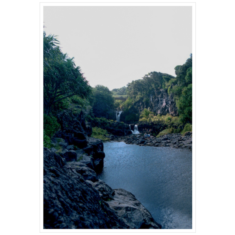 Maui Rainforest III - Metallic Paper