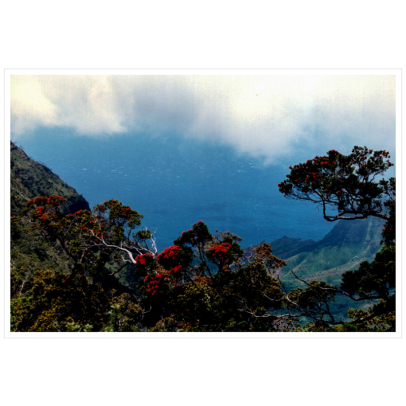 Hiking Waimea Canyon - Metallic Paper