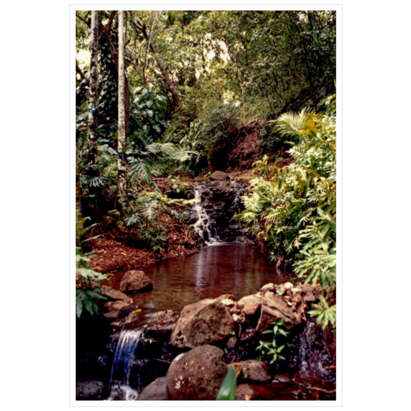 Allerton Garden I - Archival Canvas Paper