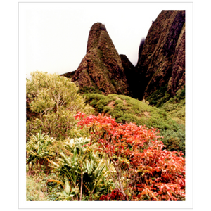 Iao Needle - Archival Canvas Paper