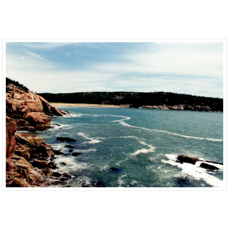 Walking Acadia II - Metallic Paper