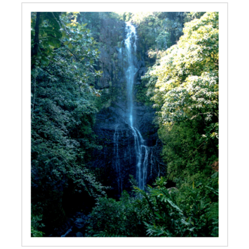 Maui Waterfalls II - Archival Canvas Paper