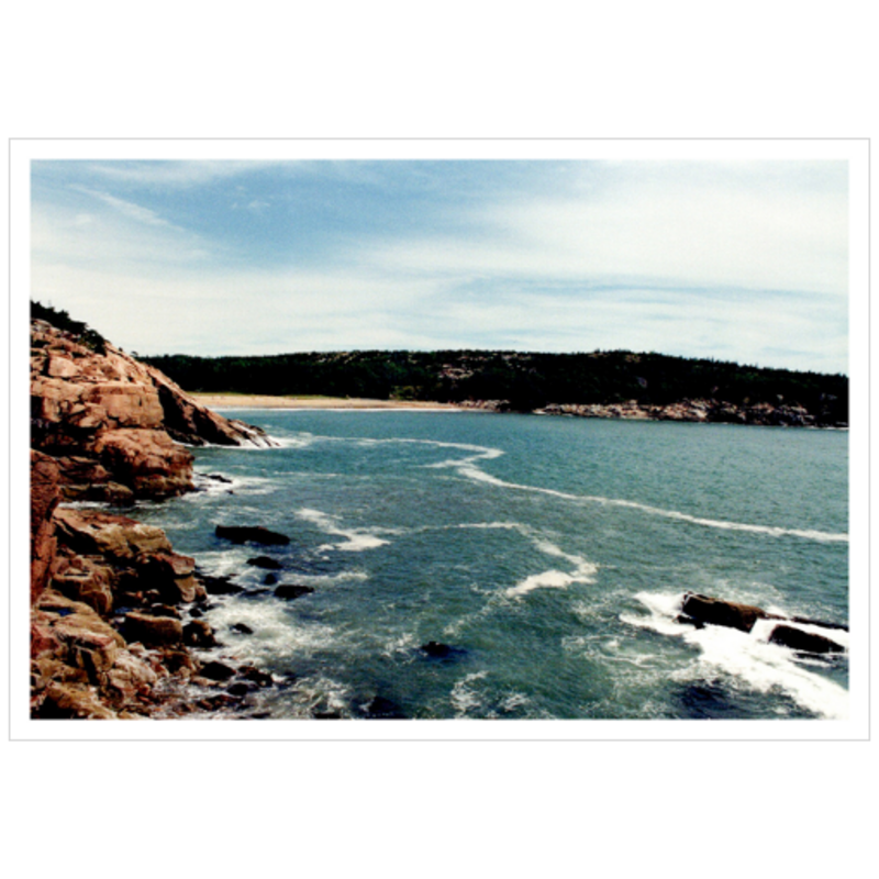 Walking Acadia II - Metallic Paper