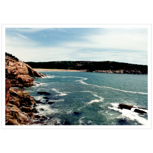 Walking Acadia II - Metallic Paper