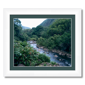 Maui Rainforest II - Framed - Metallic Paper
