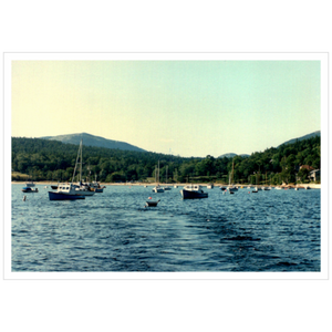 Sailing Seal Harbor - Premium Giclee Paper