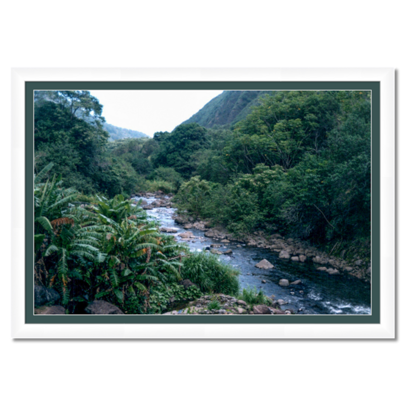 Maui Rainforest II - Framed - Metallic Paper