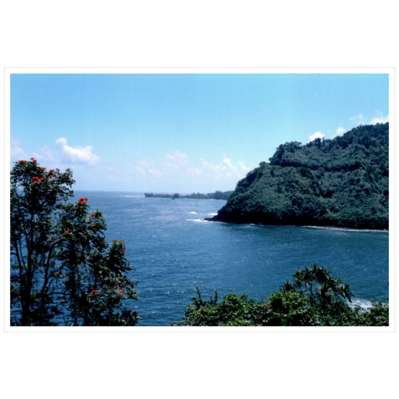 Maui Coast IV - Archival Canvas Paper