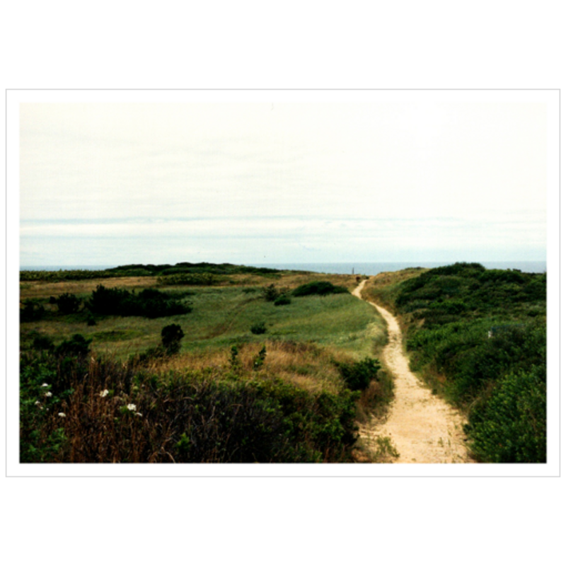 Wellfleet Seashore - Satin Luster Paper
