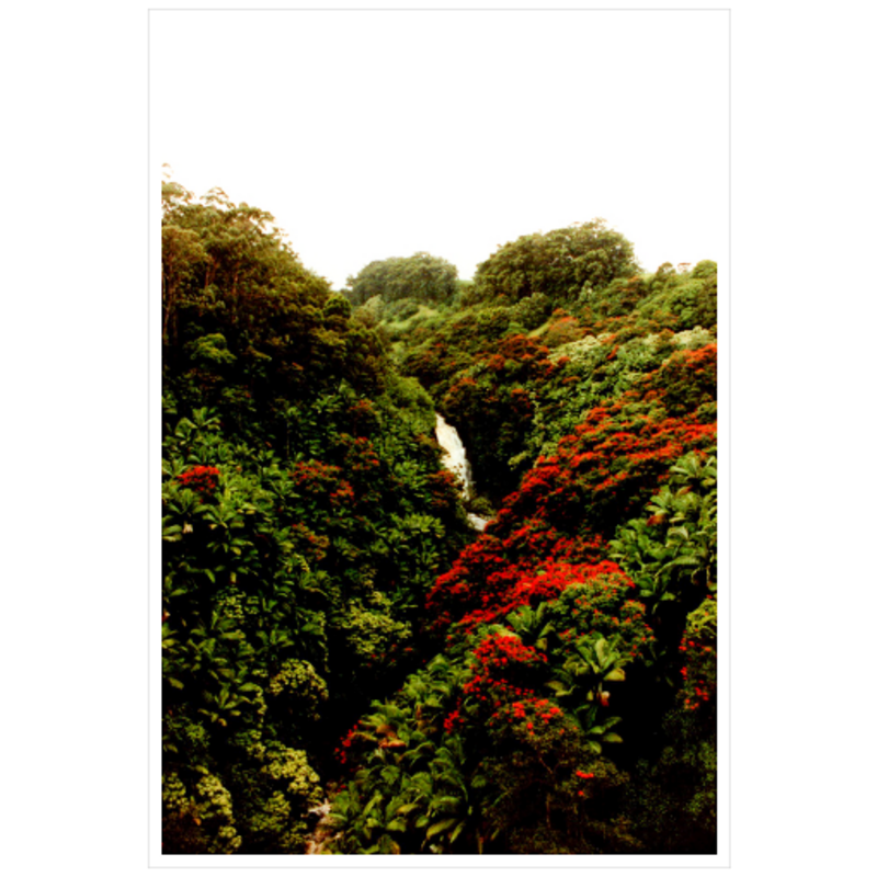 Maui Waterfalls III - Archival Canvas Paper